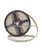 Banda led albastra 60 leduri 5050/metru, 24V, rezistenta la apa, la rola de 5 metri - LS-5050-01B