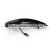 Set 2 Semnalizari Led Oglinda Dinamice Ford Fiesta MK6, B-Max B232 - D0241 Set 2 Semnalizari Led Oglinda Dinamice Ford Fiesta MK6, B-Max B232 - D0241