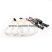 Kit Angel Eyes CCFL BMW E46 cu Far ZKW fara lupa si fara Xenon din Fabrica -2x131mm + 2x146mm